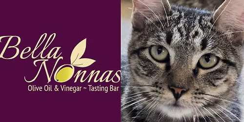 Bella Nonnas Day for Yogie and Friends