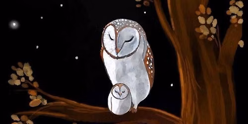 \u201c Goodnight, Little Owl" with Mickey & Laura