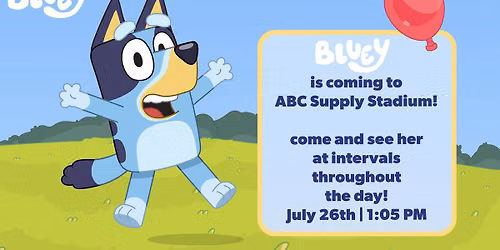 Bluey Day