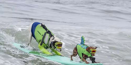 World Dog Surfing Pismo Beach: Entrant Registration for May 2, 2026