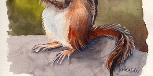 Chipmunk in Watercolor with Jessica Lily