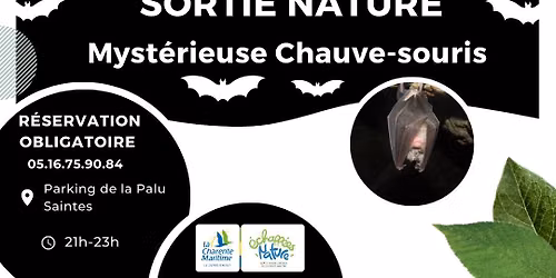 Myst\u00e9rieuse Chauve-souris