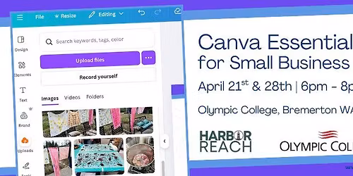 Canva Essentials for Small Business Marketing