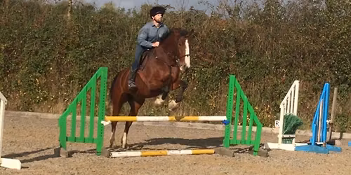 Jumping\/Polework with Mary Baillie - WRC members only