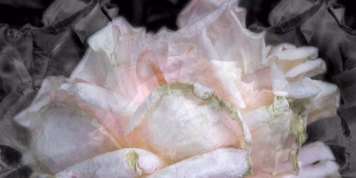 Exquisite Entropy: Photographs by Trish Simonite, 1972-2025