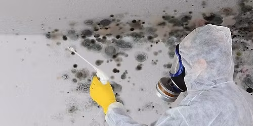 C.E. CLASS: MOLD REMEDIATION IN HOMES