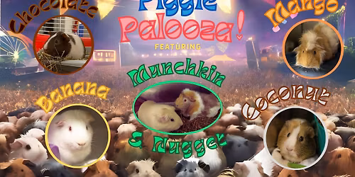 Piggie Palooza! -- All Guinea Pig adoption fees waived for November