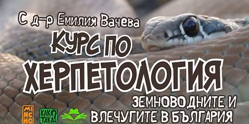 \u041a\u0423\u0420\u0421 \u041f\u041e \u0425\u0415\u0420\u041f\u0415\u0422\u041e\u041b\u041e\u0413\u0418\u042f