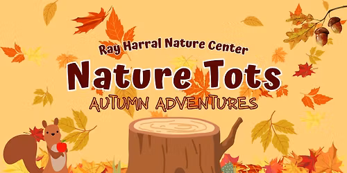 Nature Tots - Autumn Adventures