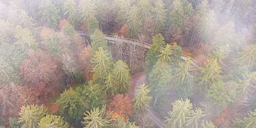 Sagenhafte F\u00fchrung am Baumwipfelpfad