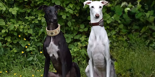 Seminar: Der zuverl\u00e4ssige R\u00fcckruf