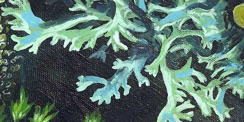 Are We Individuals? Unruly Ecologies: An Entangled Reading Group