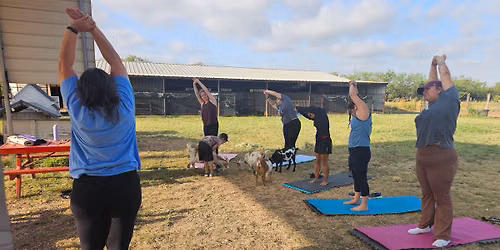 Yoga on the Farm 