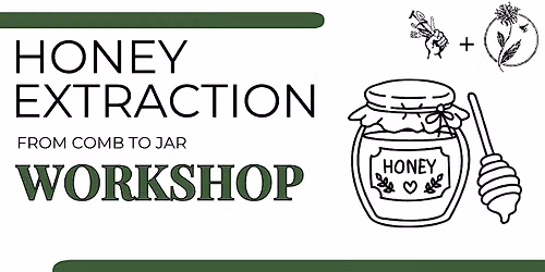 Honey Extraction: From Comb to Jar