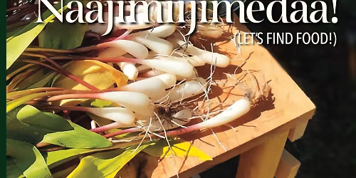 Naajimiijimedaa! Let\u2019s Find Food!