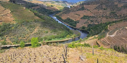 Caminhando na Rota dos Monges