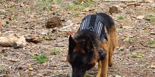 AMPWDA Spring Land\/Water HRD and Police Mantrailing Fall Seminar