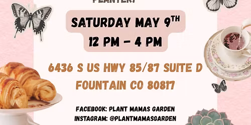 Build Your Own Teacup Succulent 