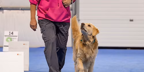 Try-It Rally Obedience (later session)