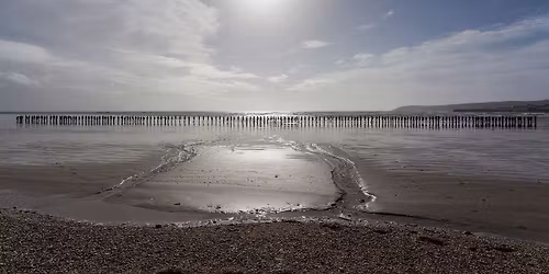 ARTIST'S CHOICE | BRINGING TIBET HOME