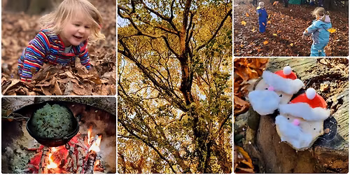 Mini ROAMers Parent & Toddler Sessions