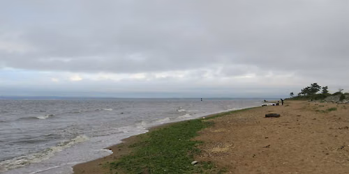 Lemon Creek Pier Cleanup