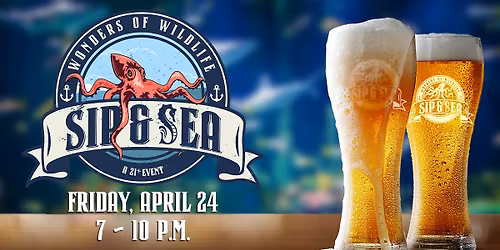 Sip & Sea at Wonders of Wildlife