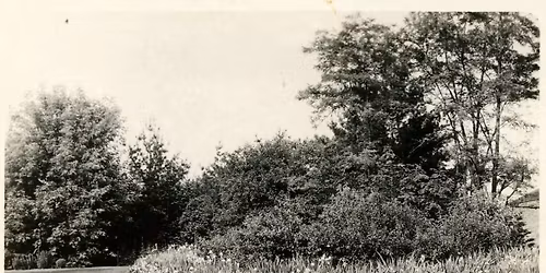 Herbert Dow's Garden Tours