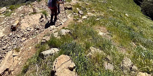 28 aprile\/03maggio 2026 \u2013 ISOLA D\u2019ELBA 