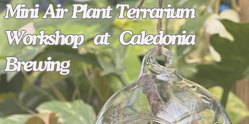 Mini Airplant Terrarium Workshop at Caledonia Brewing