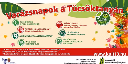 Var\u00e1zsnapok a T\u00fccs\u00f6ktany\u00e1n: A kiskakas gy\u00e9m\u00e1ntf\u00e9lkrajc\u00e1rja