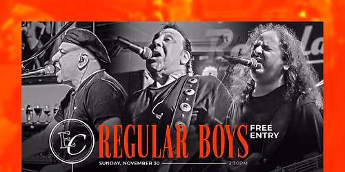 Elephant and Castle Hotel Presents Sunday with REGULAR BOYS LIVE 
