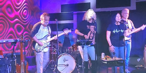 The Bongo Furys