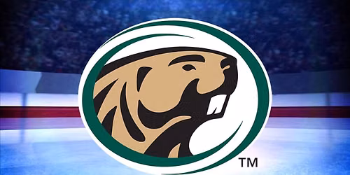 Bemidji State Beavers at St. Thomas Tommies Mens Hockey at Lee and Penny Anderson Arena