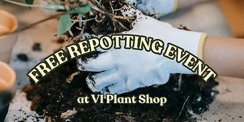 FREE  Repotting Event at VI Plant Shop