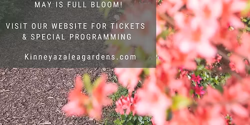 Azalea Days at Kinney Azalea Gardens