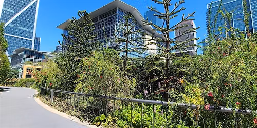 Salesforce Park Garden Walk