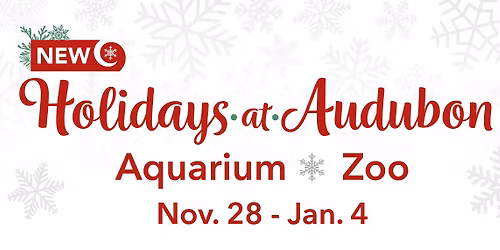 Holidays at Audubon