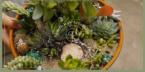 Succulent Workshop