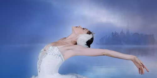 LE LAC DES CYGNES | AVIGNON, Confluence Spectacles | 25.01.2026