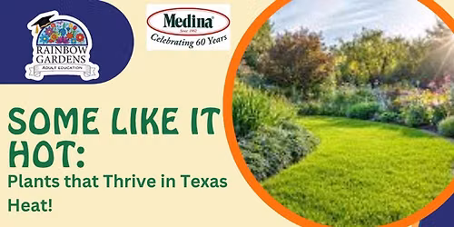 Plants That Thrive in Texas Heat