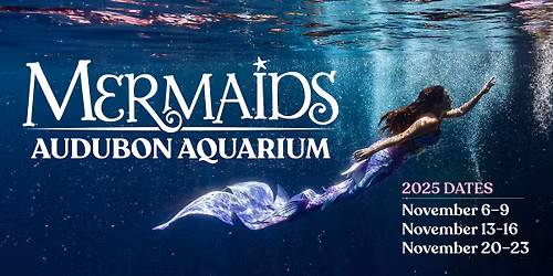 Mermaids at Audubon Aquarium
