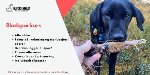 Blodsporkurs (FULLT)