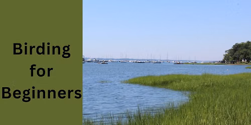 Birding for Beginners