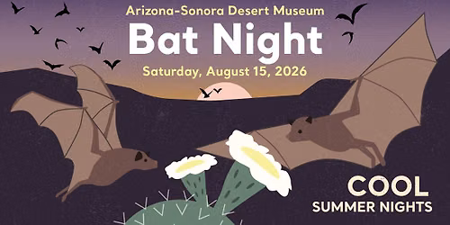 Bat Night (Cool Summer Nights) 