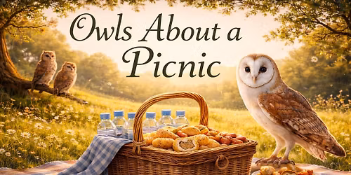 Owls about a Picnic