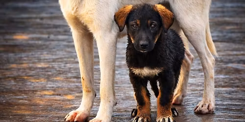 \u10dd\u10d7\u10ee\u10e8\u10d0\u10d1\u10d0\u10d7\u10e1, 15 \u10d0\u10de\u10e0\u10d8\u10da\u10e1, 7 \u10e1\u10d0\u10d0\u10d7\u10d6\u10d4, \u10db\u10d4\u10e0\u10d8\u10d0\u10e1\u10d7\u10d0\u10dc! \u10d0\u10e0\u10d0 \u10db\u10d8\u10e3\u10e1\u10d0\u10e4\u10e0\u10d4\u10d1\u10d8\u10e1 \u10d2\u10d4\u10dc\u10dd\u10ea\u10d8\u10d3\u10e1!!! \u10d8\u10e7\u10d0\u10d5\u10d8 \u10db\u10d8\u10e3\u10e1\u10d0\u10e4\u10e0\u10d4\u10d1\u10d8\u10e1 \u10ee\u10db\u10d0!!!