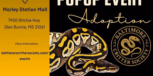 PopUp Event - Marley Mall Christmas In July!
