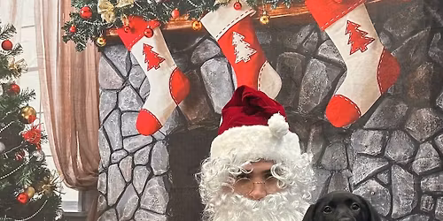 Selfies with Santa and Friends