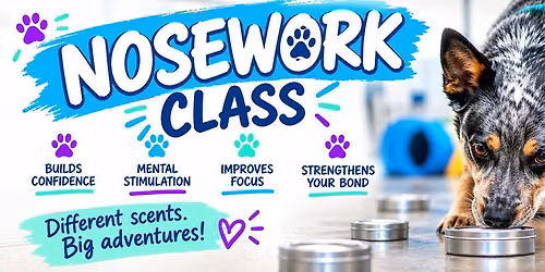 Nosework 301